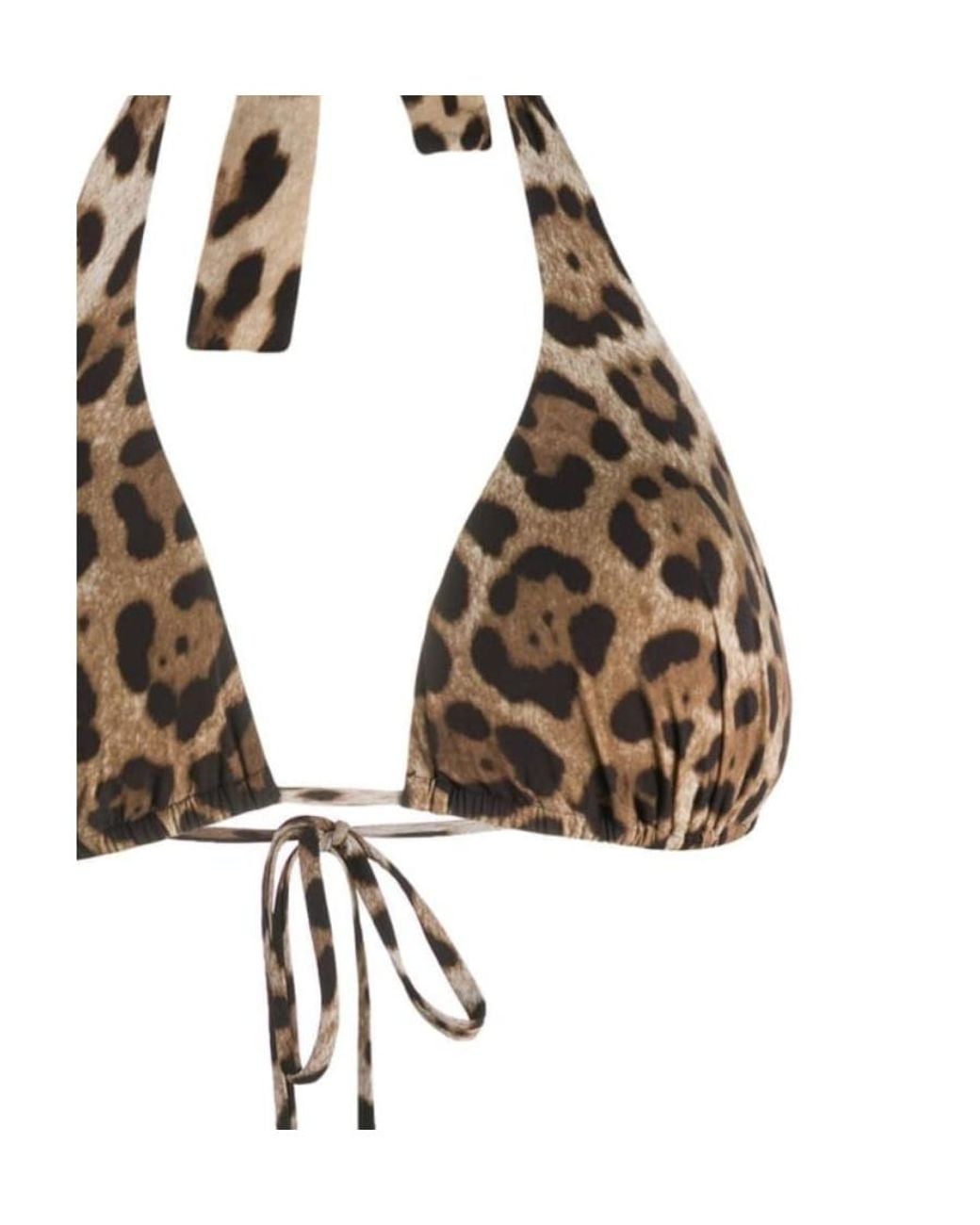 Dolce & Gabbana Multicolor Leopard Print Bikini Top