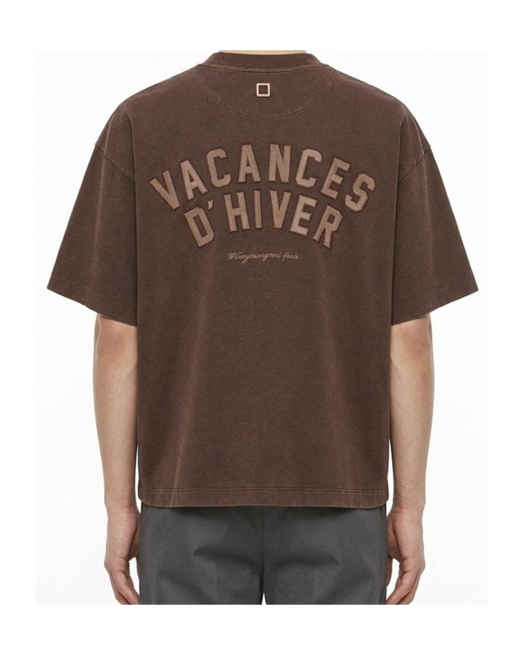 Wooyoungmi Brown Short-Sleeved T-Shirt for men