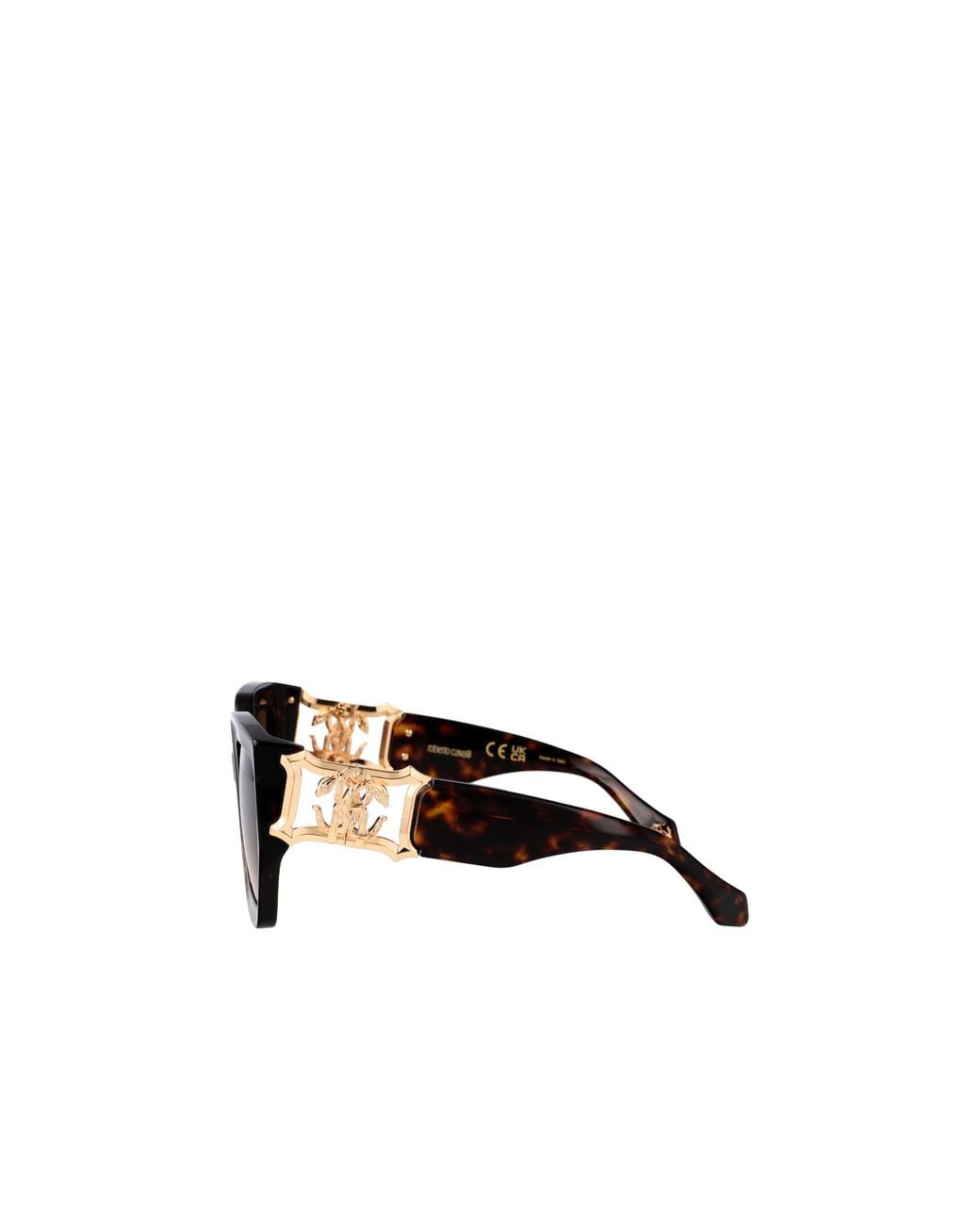 Roberto Cavalli Multicolor Oversize-Frame Sunglasses