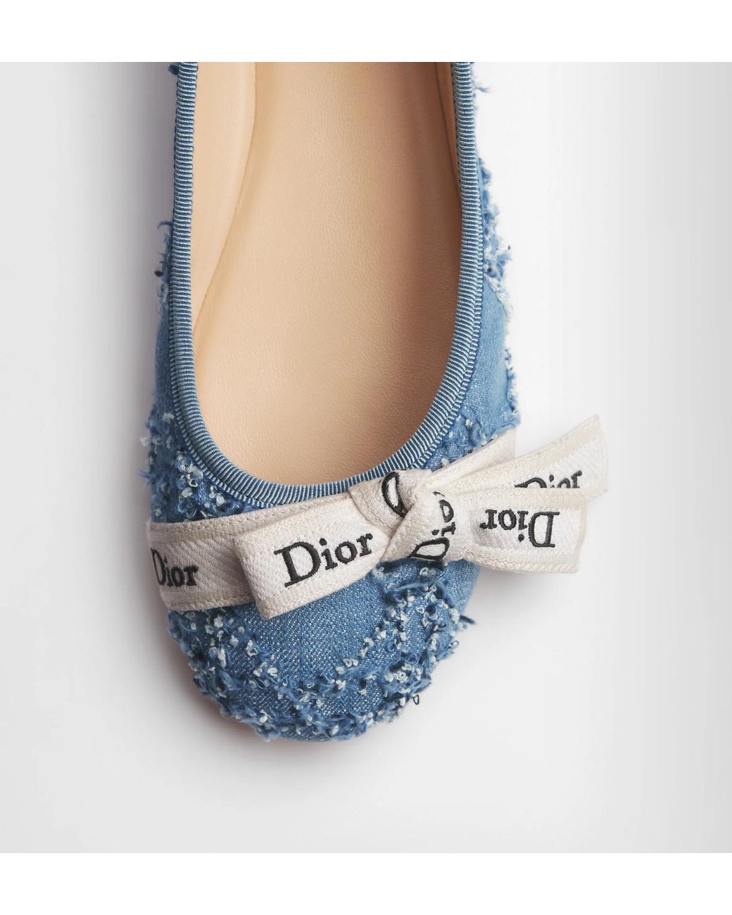 Dior Blue J'A Ballet Flat