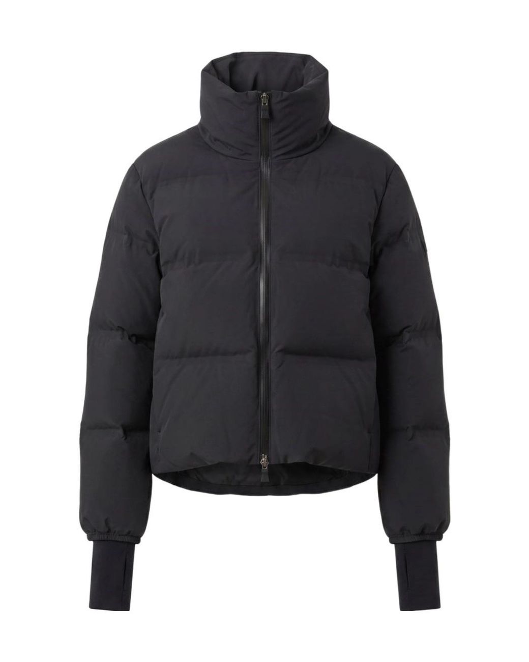 Herno Blue High-Neck Padded Jacket