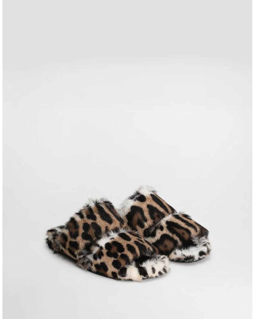Dolce & Gabbana Brown Leopard Printed Slides