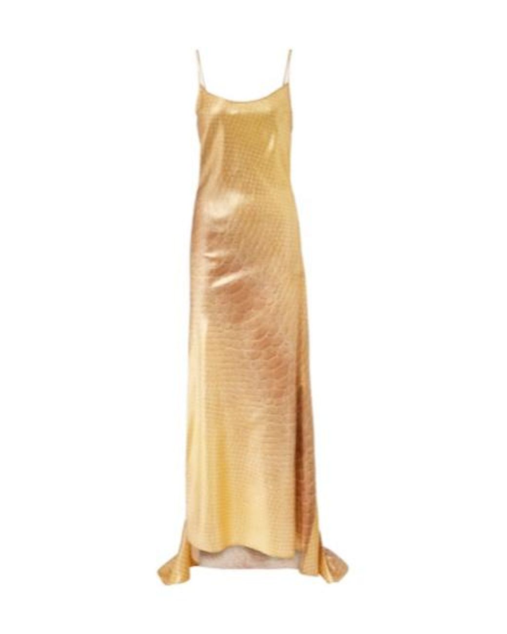 Roberto Cavalli Metallic Snake-Print Silk Gown
