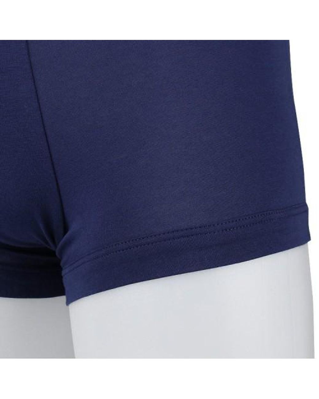 Emporio Armani Blue Logo Underwear for men