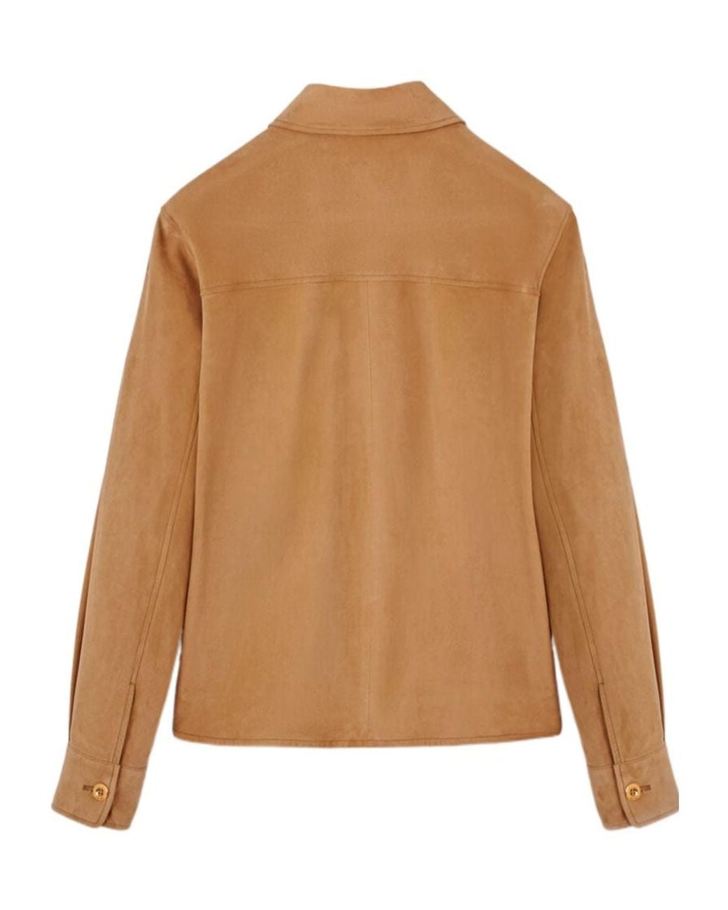Loro Piana Brown Yannis Long-Sleeved Shirt