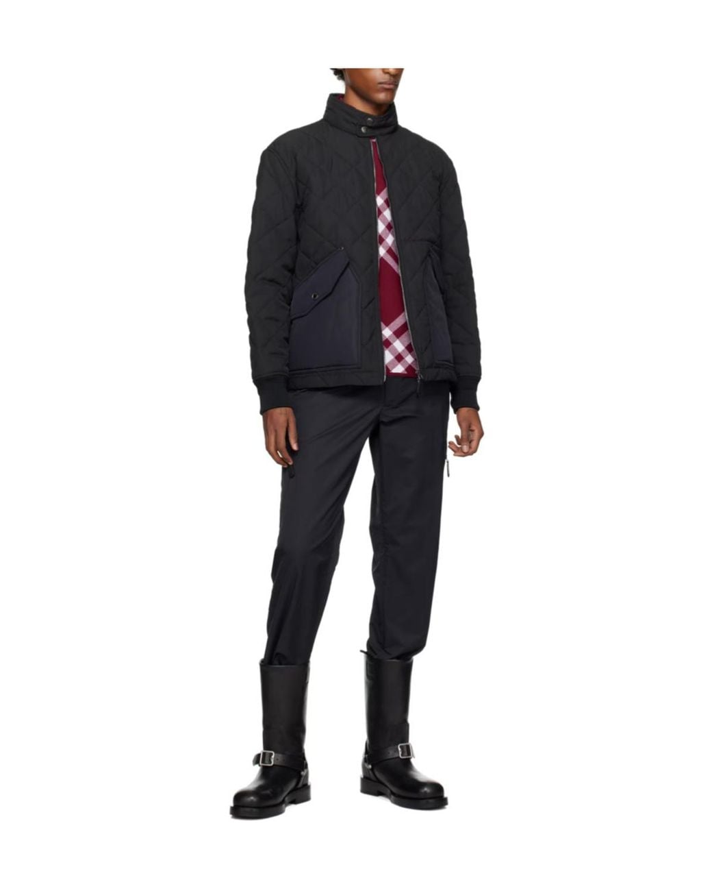 Burberry Blue Radley Cotton Clothes for men