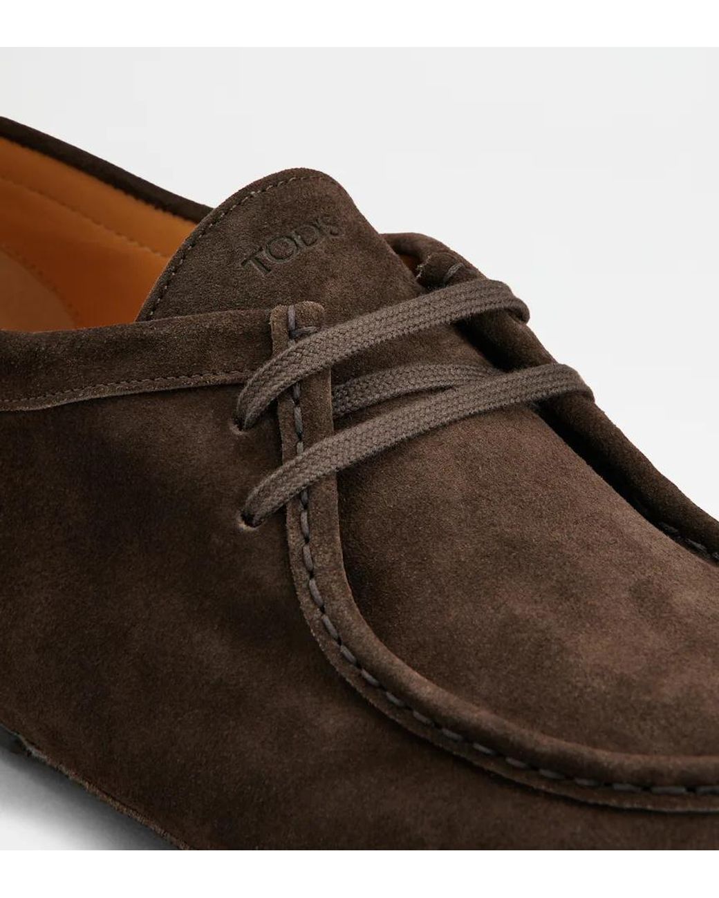 Tod's Brown Lace-Up Derby Shoes for men
