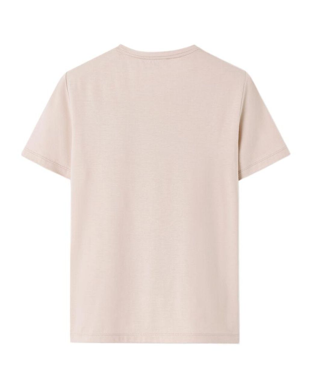 Loro Piana Pink Levo T-Shirt
