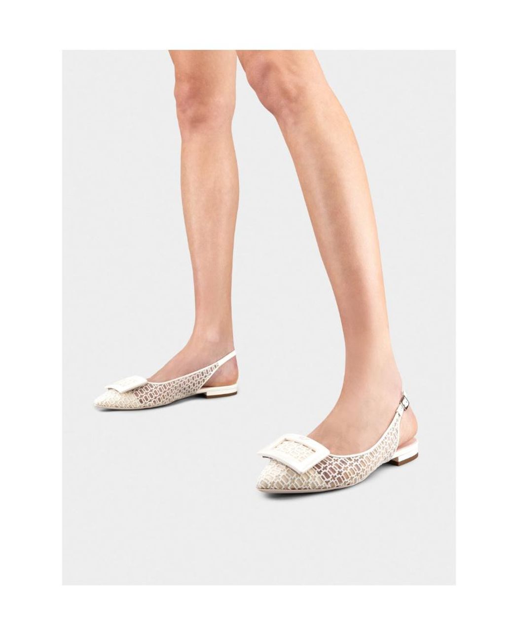 Roger Vivier Natural Pointed-Toe Ballet Flats
