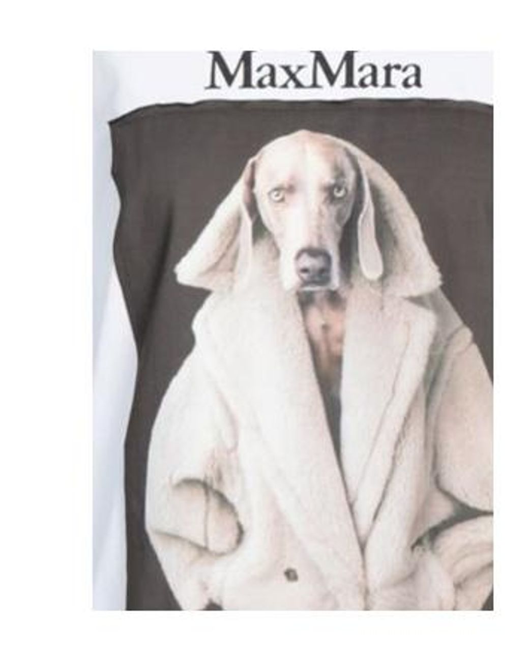 Max Mara White T-Shirt Cotton