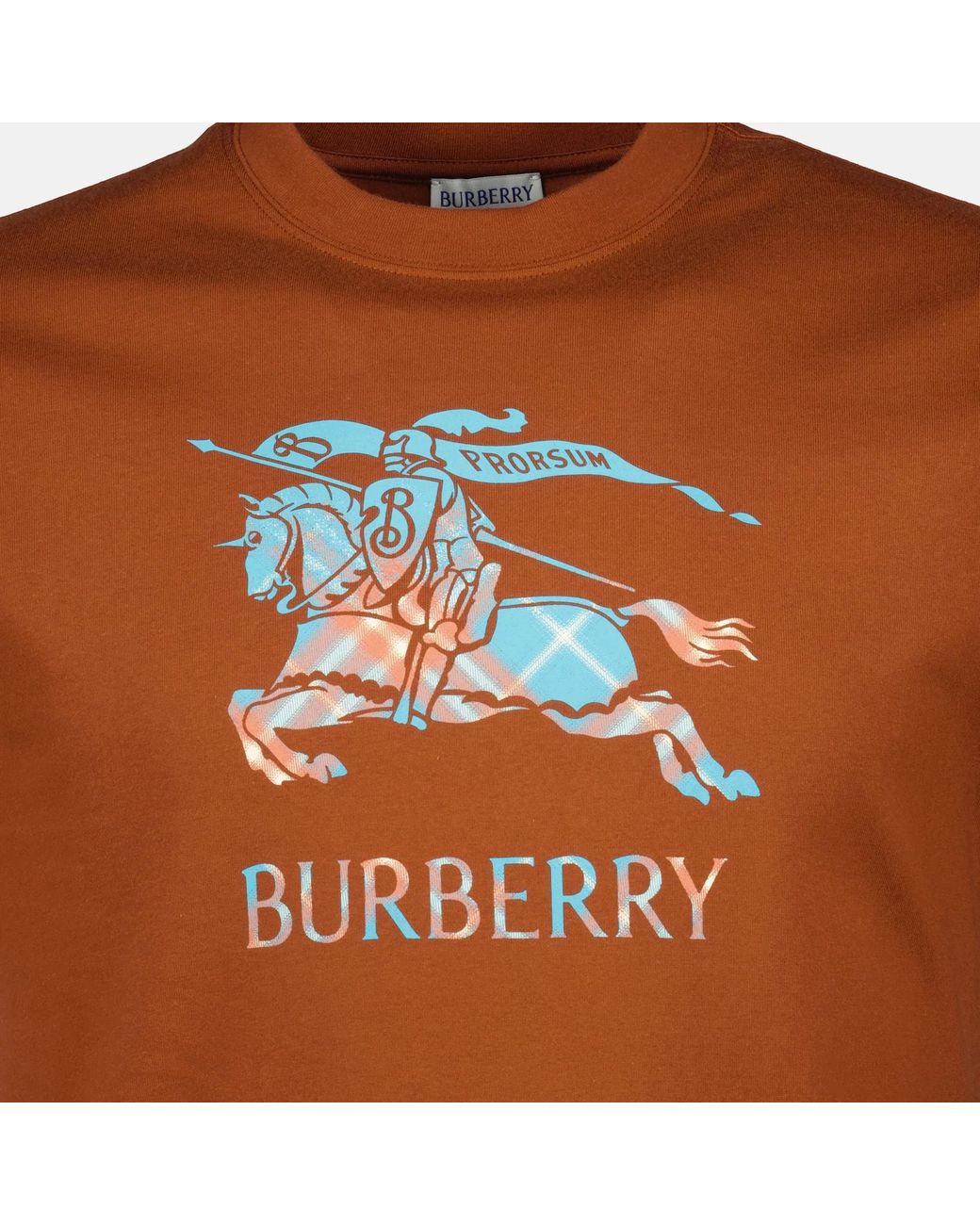 Burberry Orange Seth Ekd T-Shirt Ginger for men