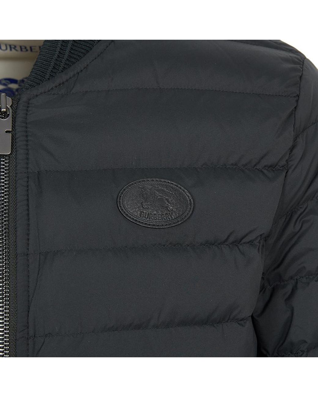 Burberry Blue Logo Detailed Zip-Up Padded Jacket for men