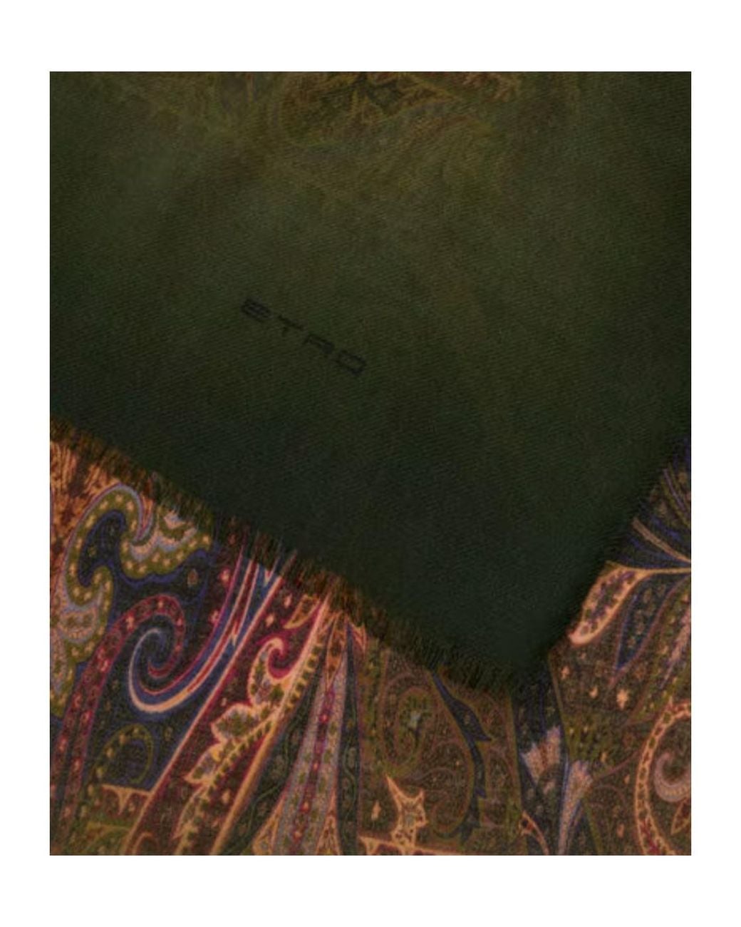 Etro Green Paisley-Printed Scarf for men