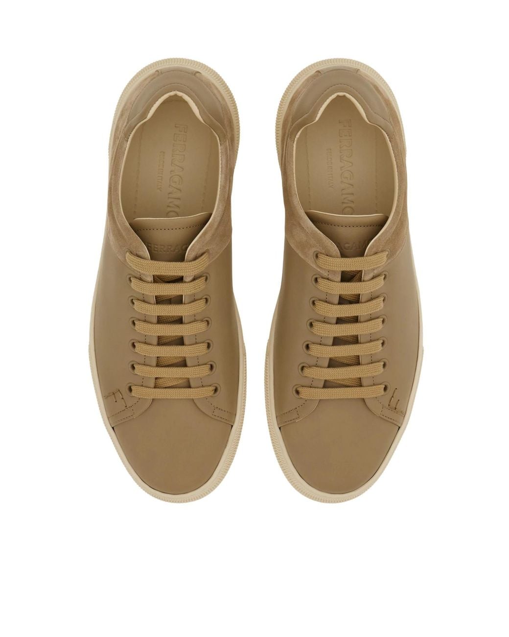 Ferragamo Brown Low Cut Sneaker for men