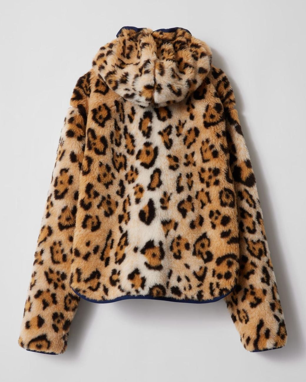 Céline Multicolor Hooded Jacket for men