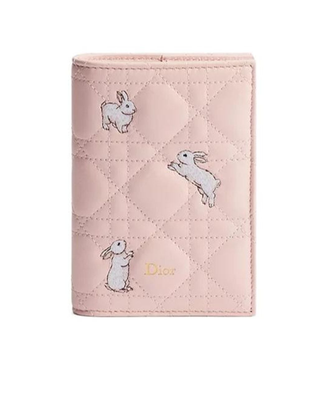 Dior Pink Passport Cover