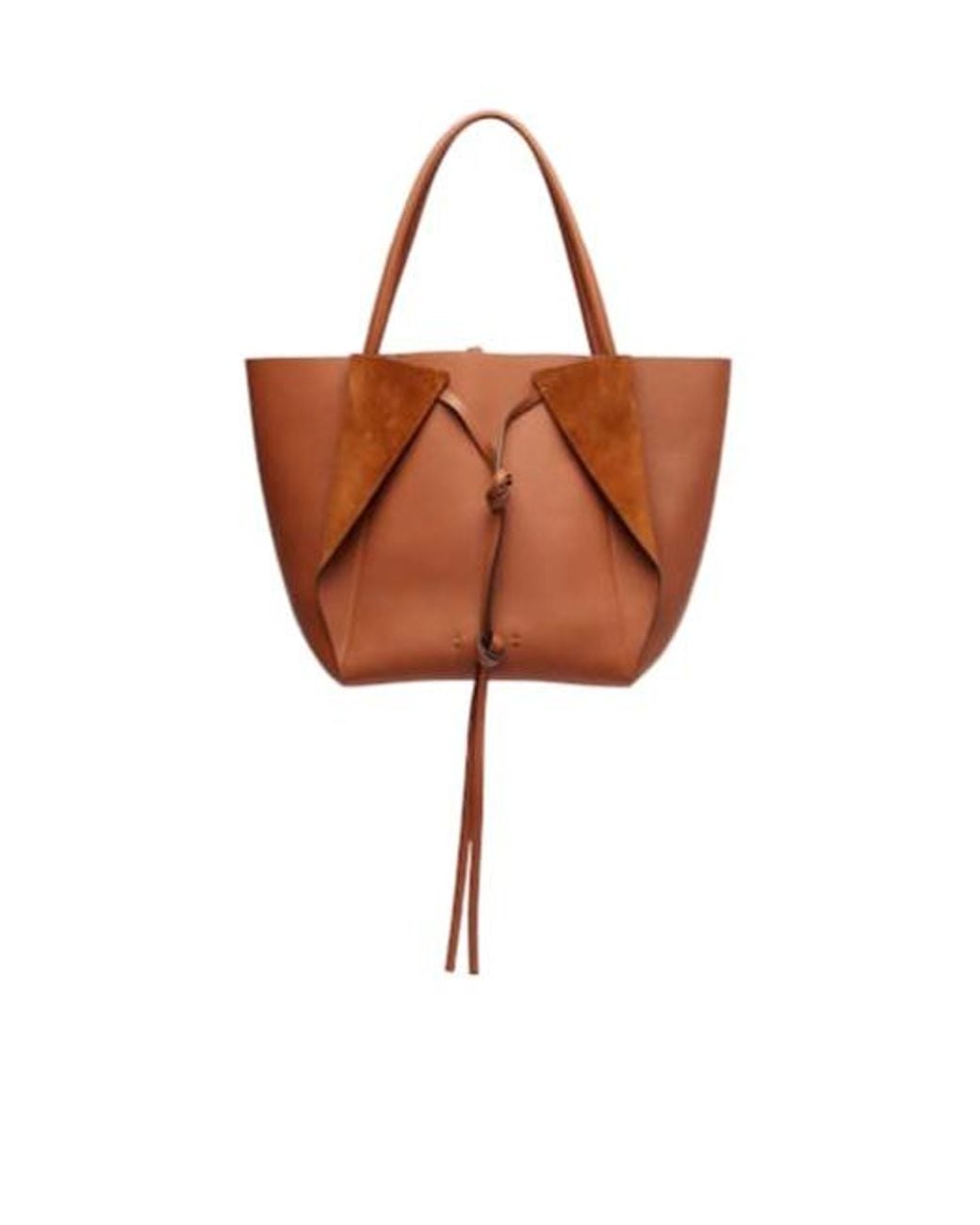 Gabriela Hearst Brown Marija Leather Tote