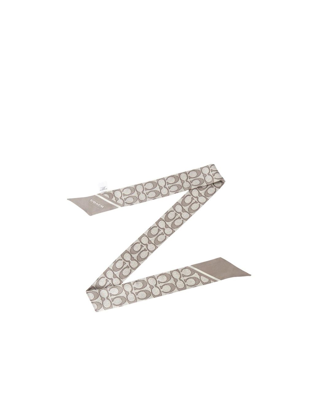 COACH White Pointed Silk Scarf