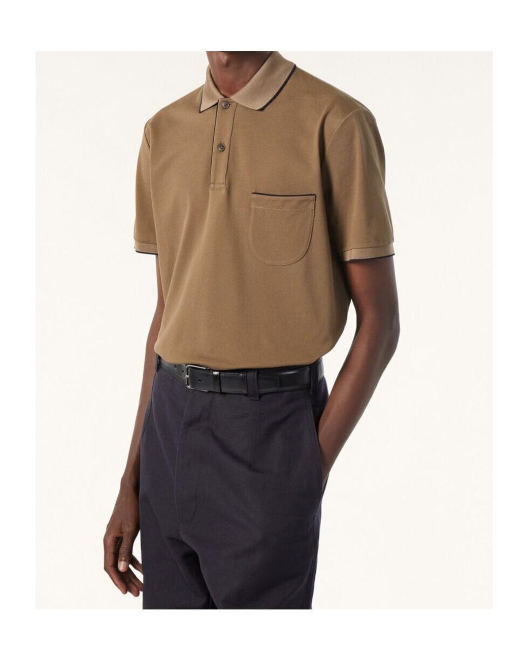 Loro Piana Brown Regatta Polo for men