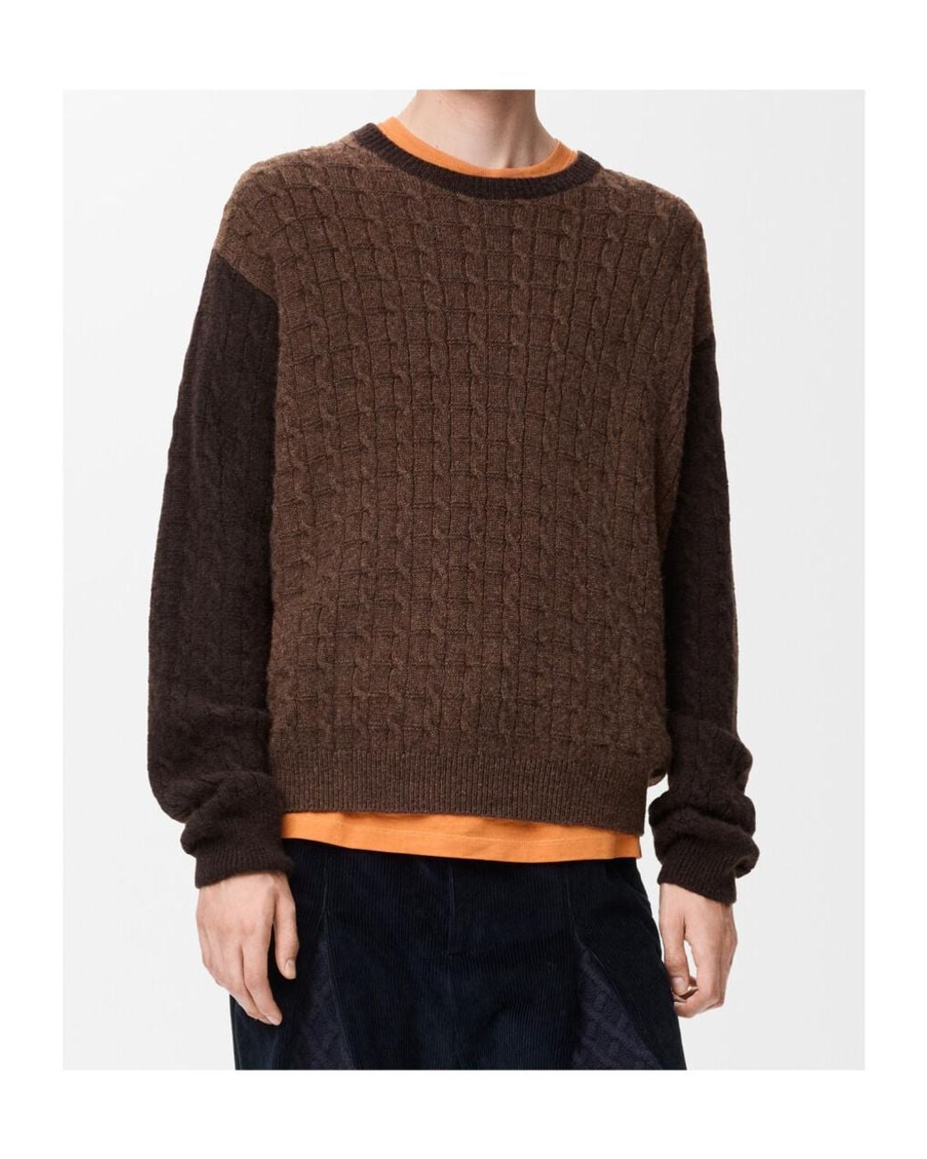 Loewe Brown Crew-Neck Sweater for men