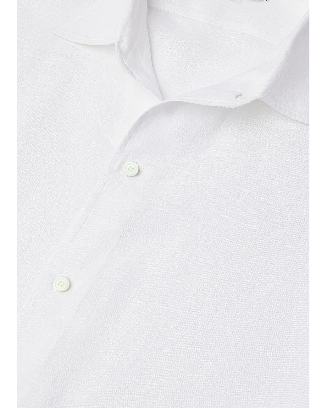 Loro Piana White Collared Shirt