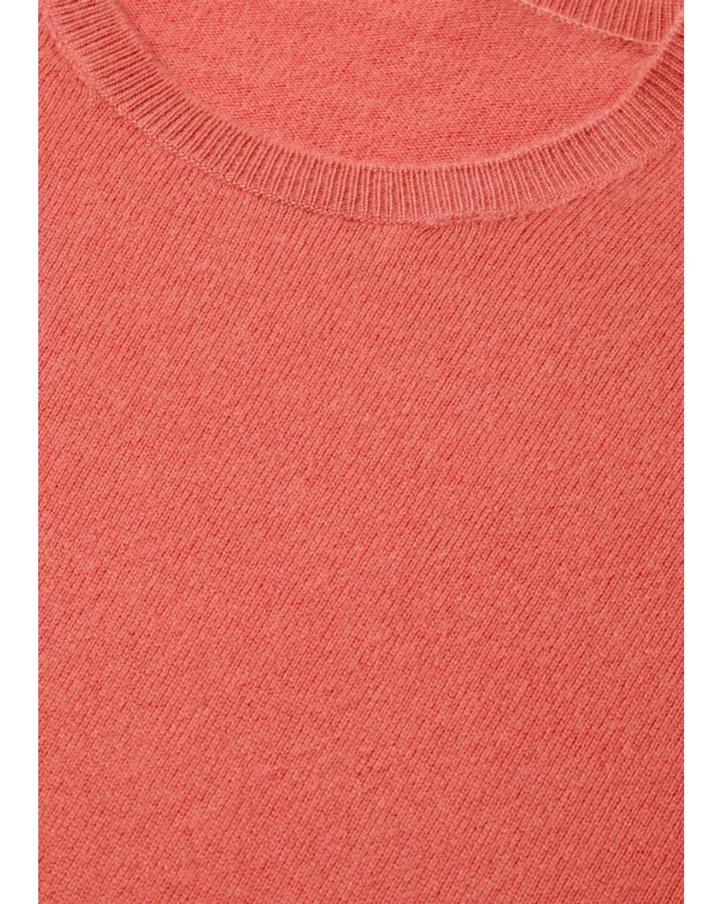 Loro Piana Pink Sergio Crewneck for men