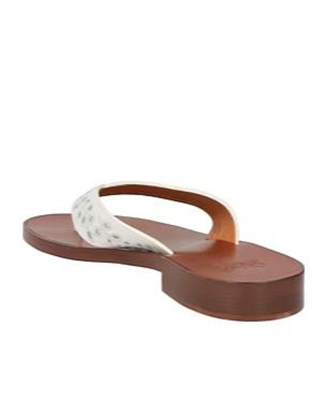 Chloé Brown Minimalist Thong Sandals