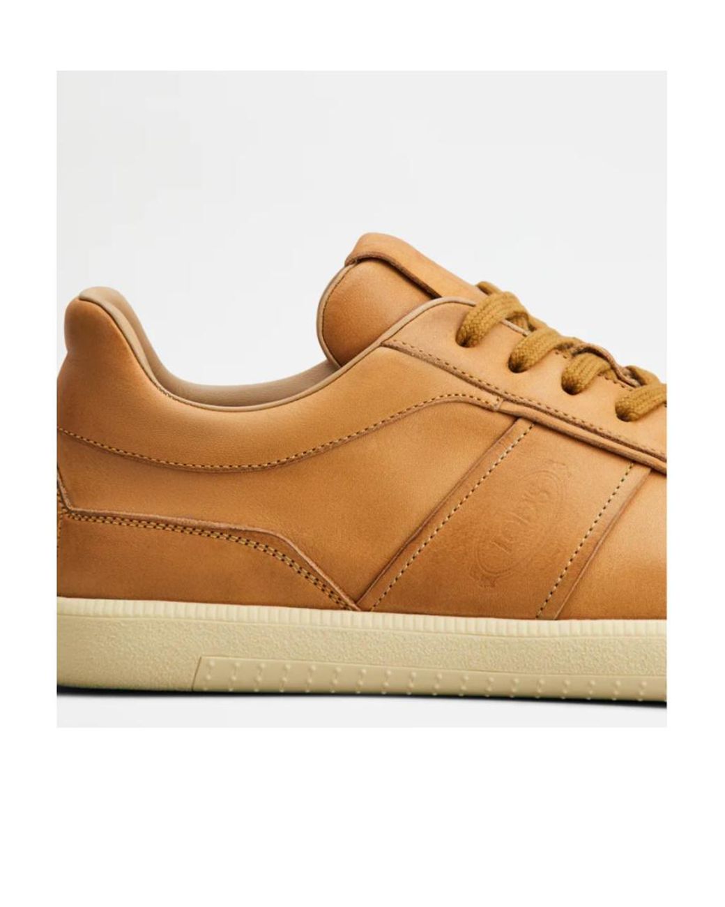 Tod's Brown Round Toe Lace-Up Sneakers for men