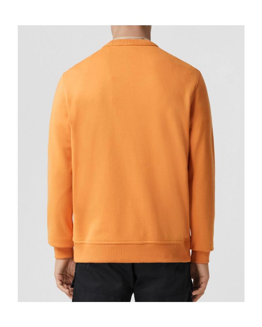 Burberry Orange Embroidered Oak Leaf Crest Cotton Sweatshirt for men