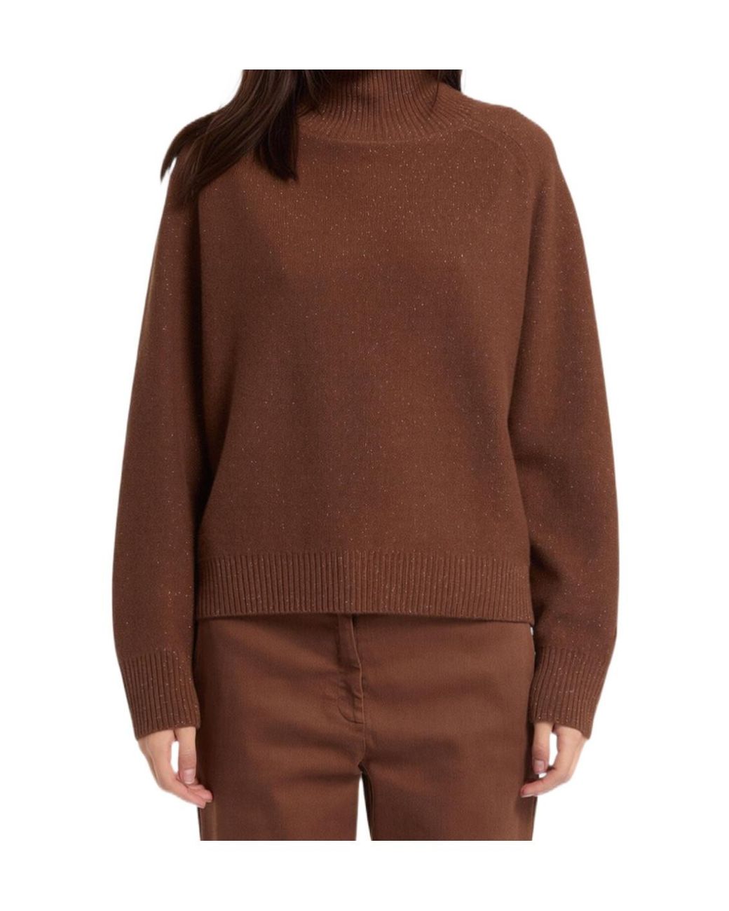 Marella Brown Long-Sleeve Turtleneck Sweater