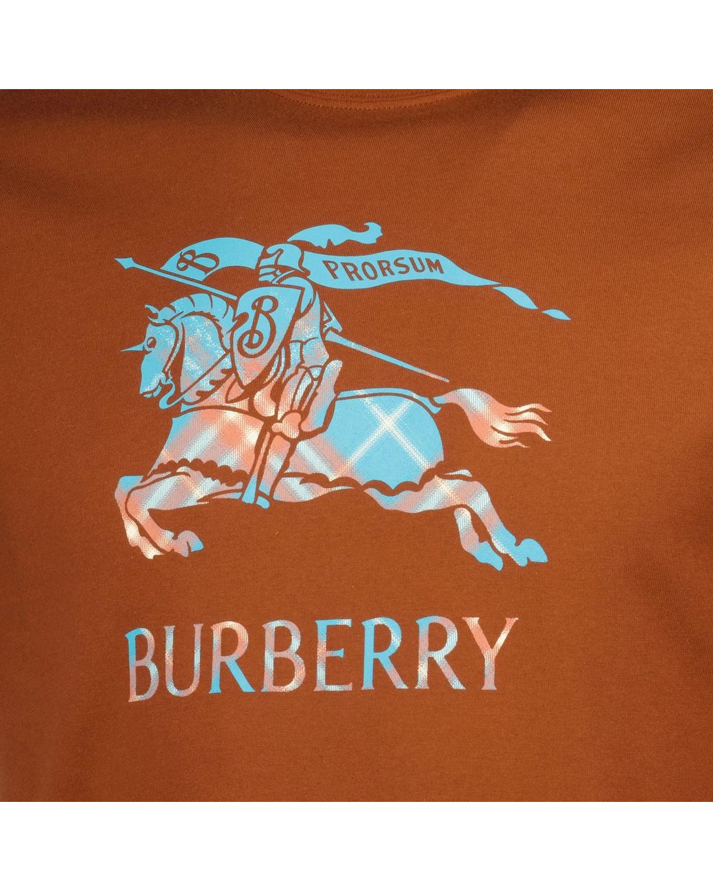 Burberry Orange Seth Ekd T-Shirt Ginger for men