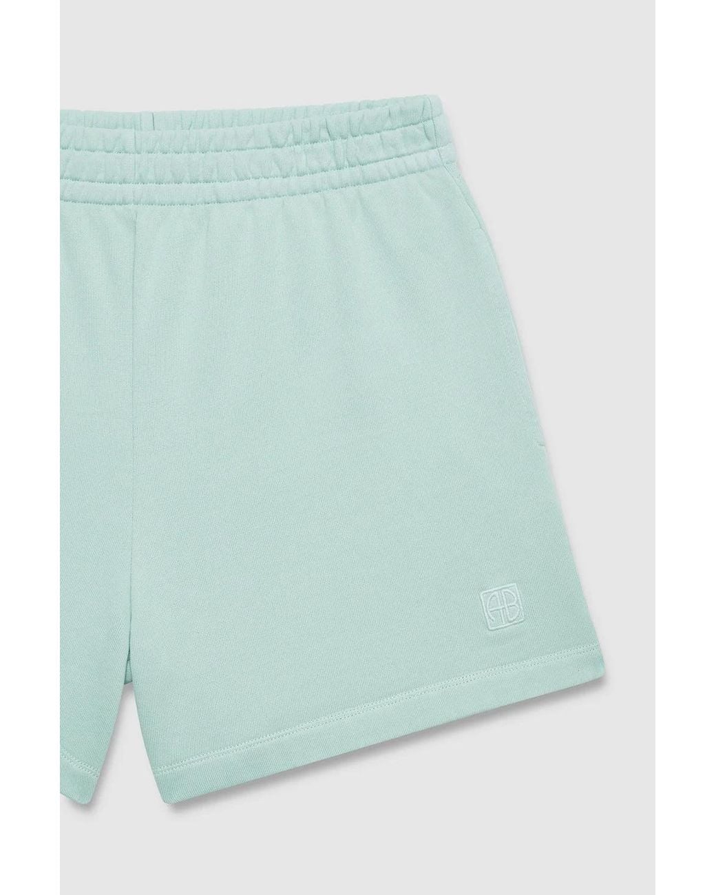 Anine Bing Blue Elastic Waist Shorts
