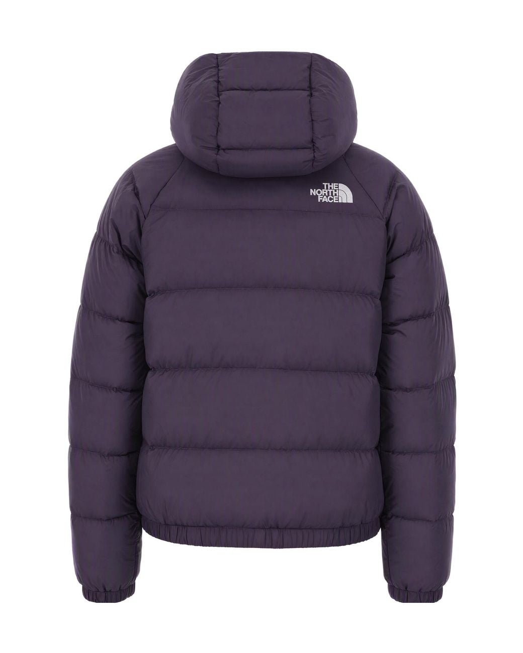 The North Face Blue Hydrenalite Hooded Down Jacket