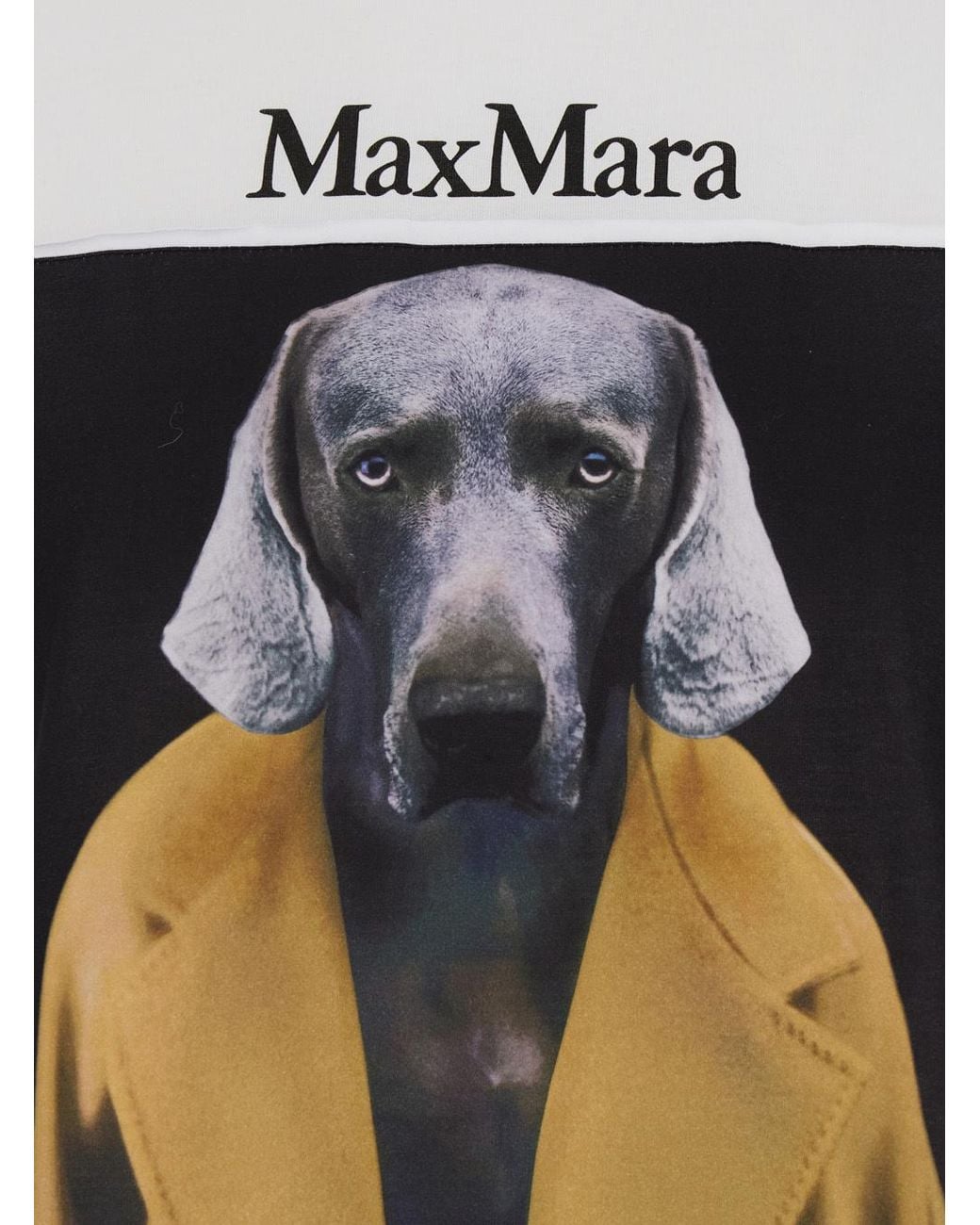 Max Mara White Cipria Graphic Printed Crewneck T-Shirt