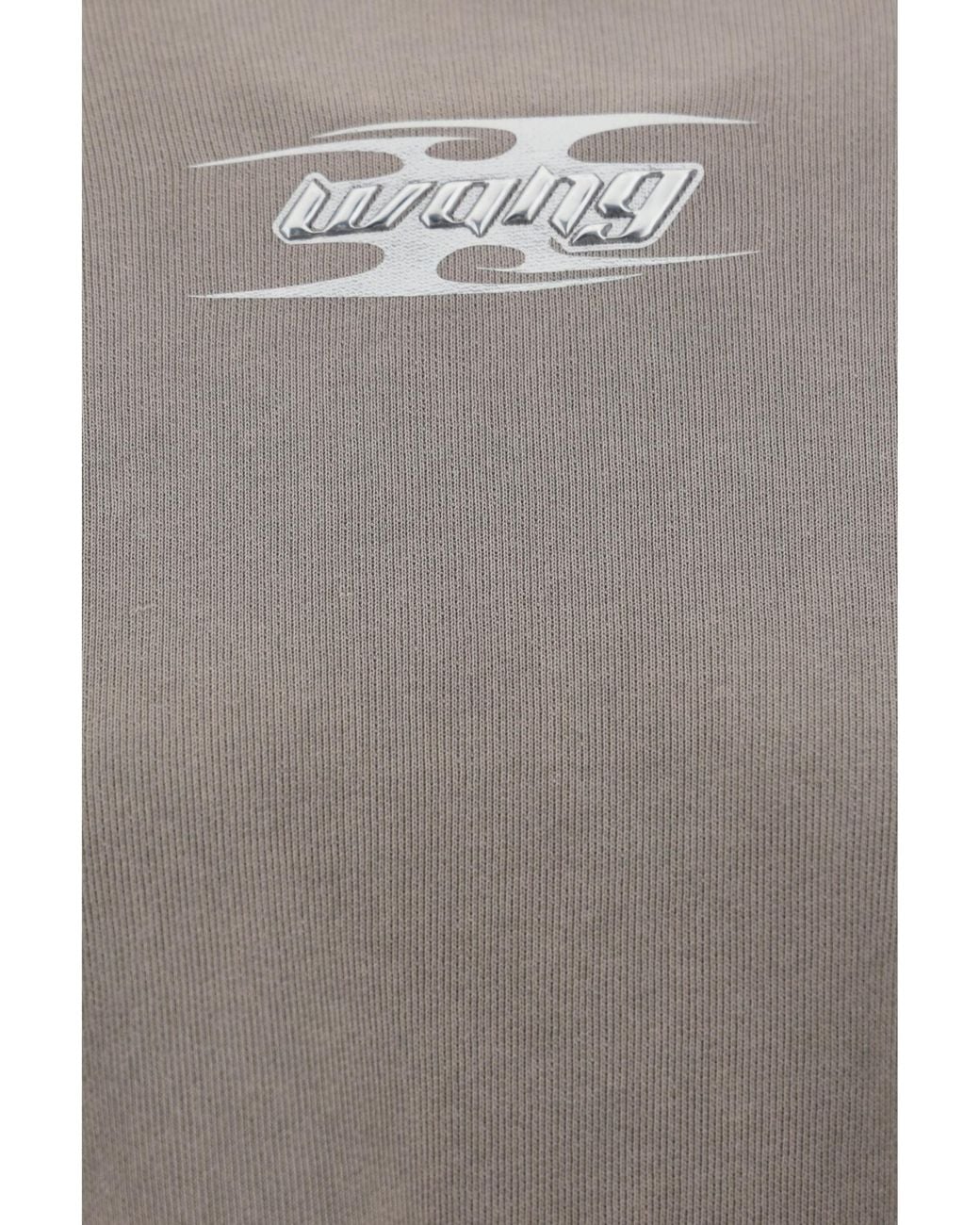 Alexander Wang Gray T By Blade Logo Embossed Hoodie
