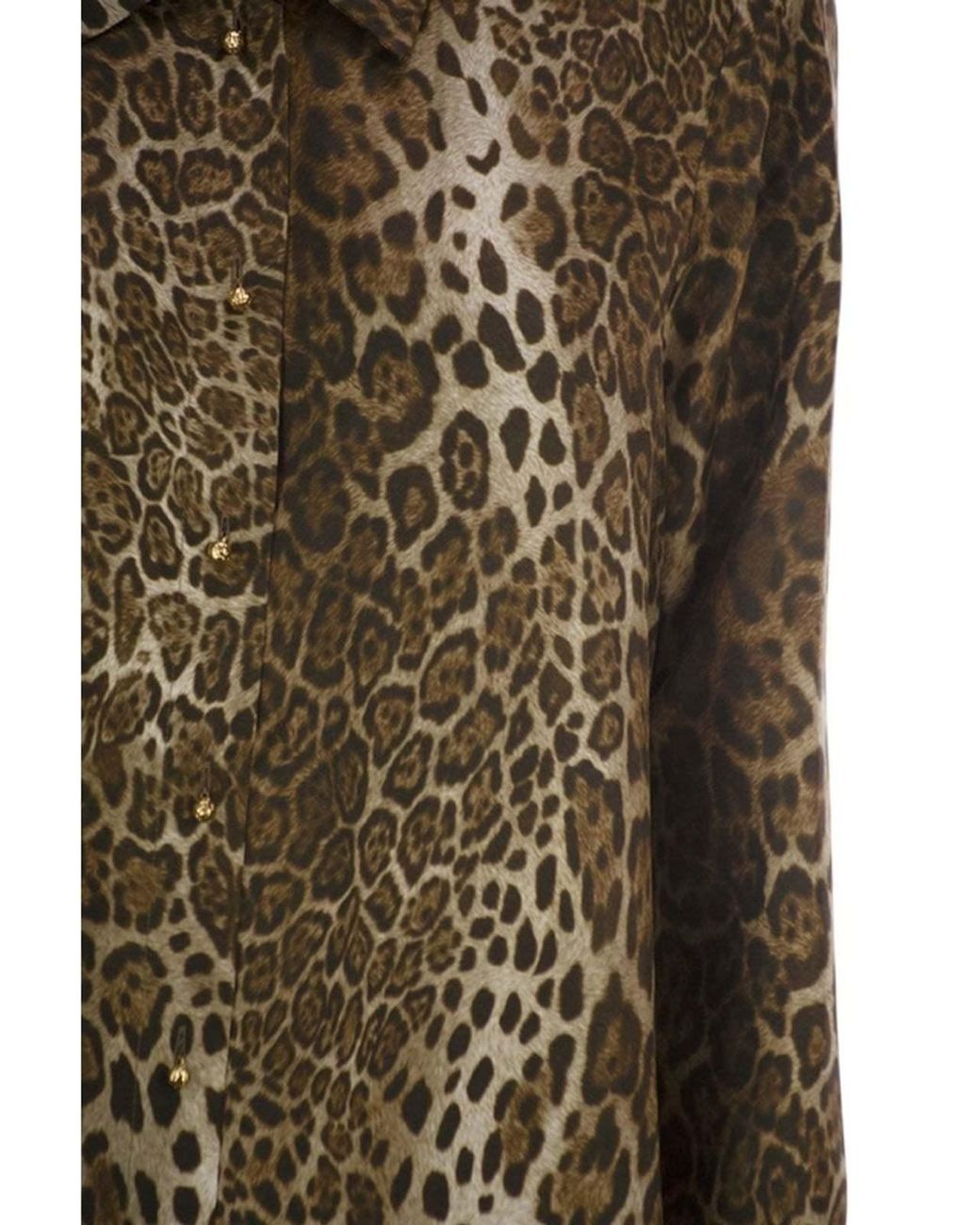 Max Mara Brown Studio Animal Printed Long-Sleeved Shirt