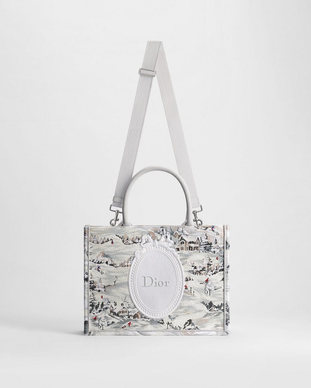 Dior Metallic Alps Medium Book Tote With Strap