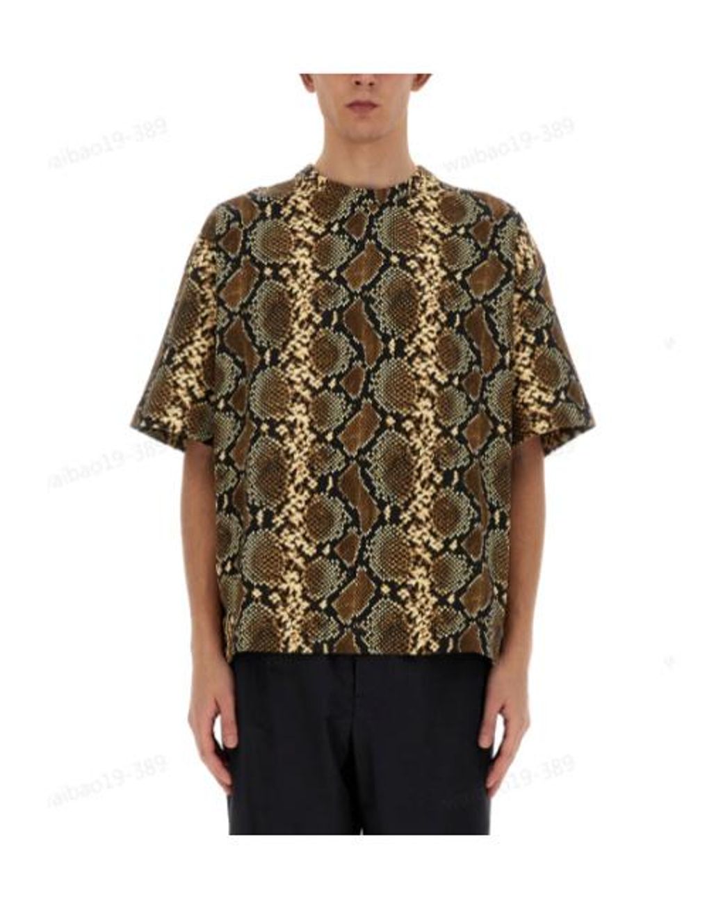 Tシャツ・カットソー Jil Sander T-Shirt With Animal Pattern Jil Sander T Shirt With Animal Pattern in Black for Men | Lyst
