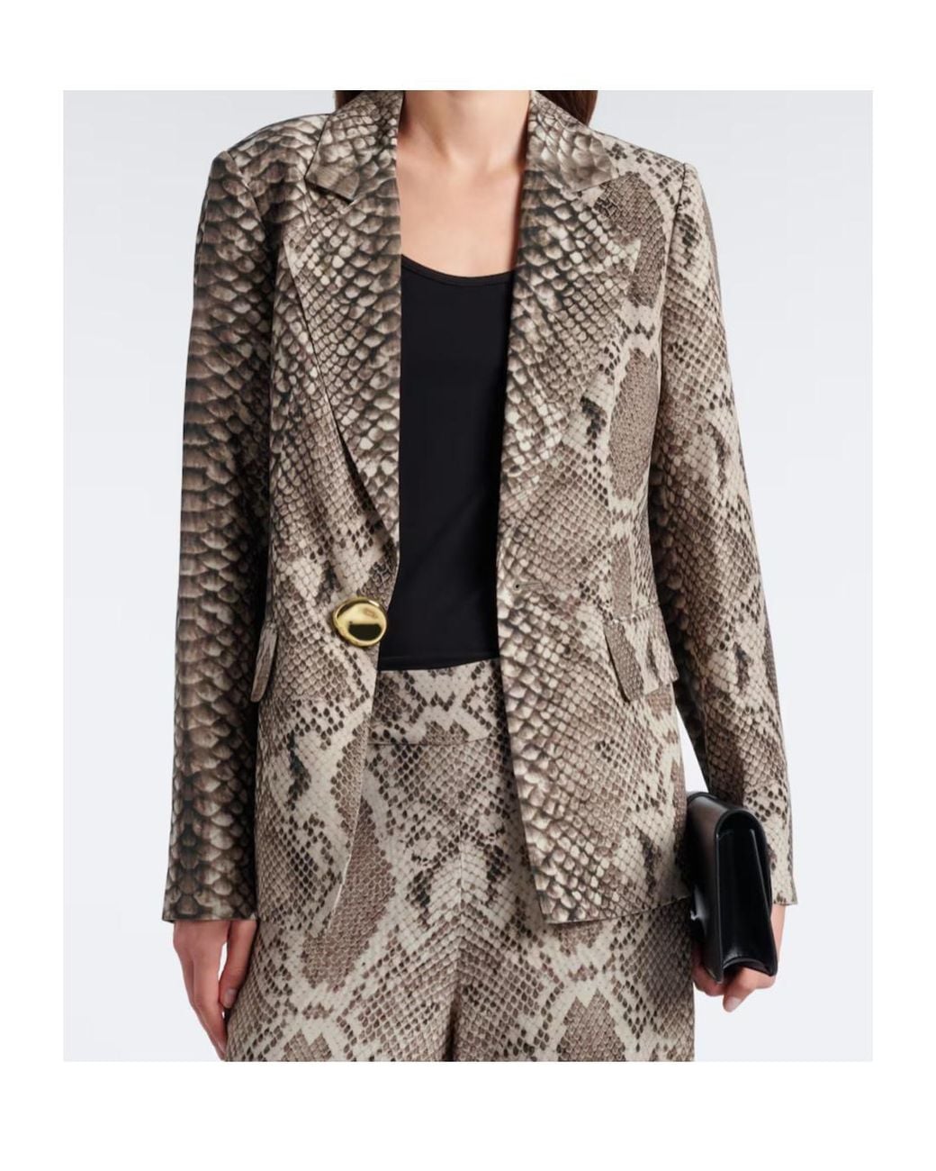 Joseph Brown Single-Breasted Blazer