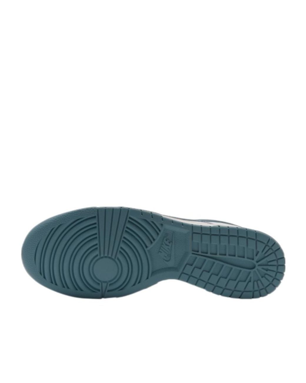 Nike Gray Dunk Low Sneakers for men