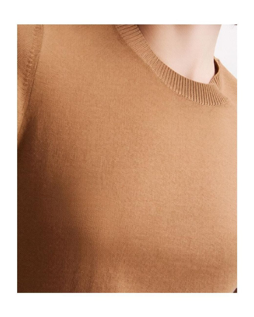 Marella Brown Crew-Neck Short-Sleeve Sweater