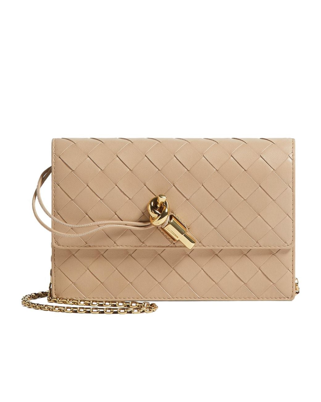 Bottega Veneta Natural Andiamo Pouch On Chain