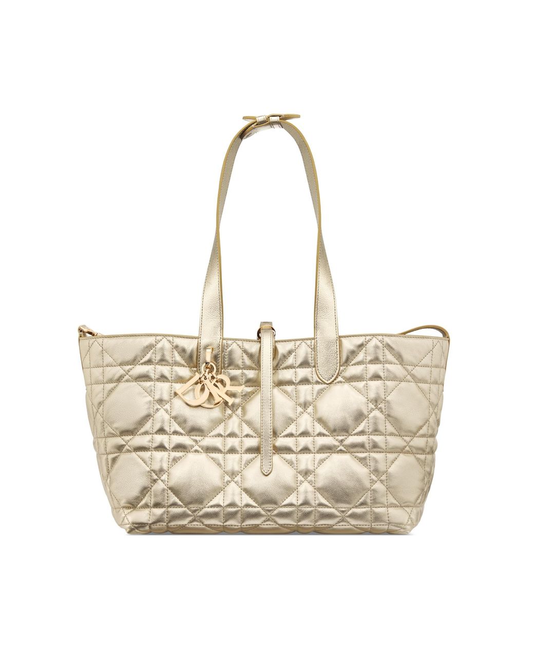 Dior Metallic Medium Toujours Bag
