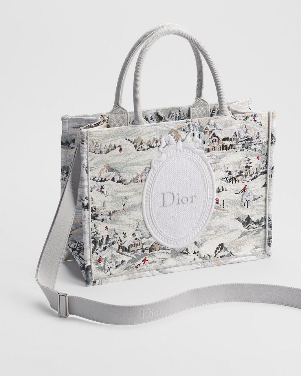 Dior Metallic Alps Medium Book Tote With Strap