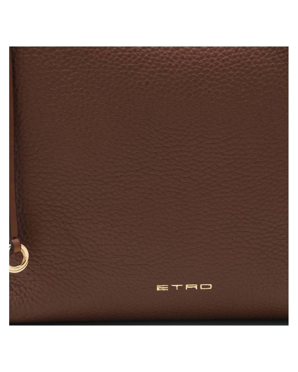 Etro Brown Hobo Medium Shoulder Bag