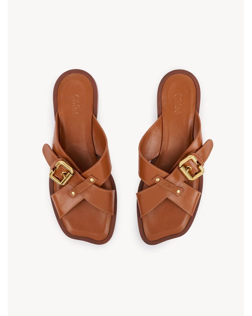 Chloé Brown Nil Slide