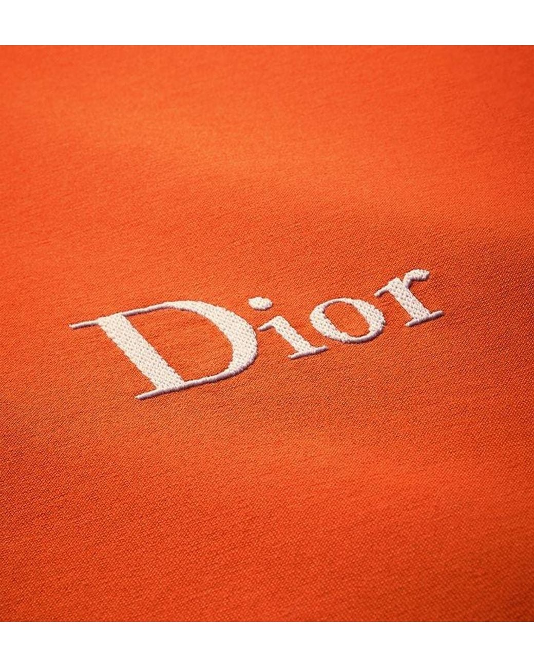 Dior Orange T-Shirt With Embroidery, Relaxed Fit for men