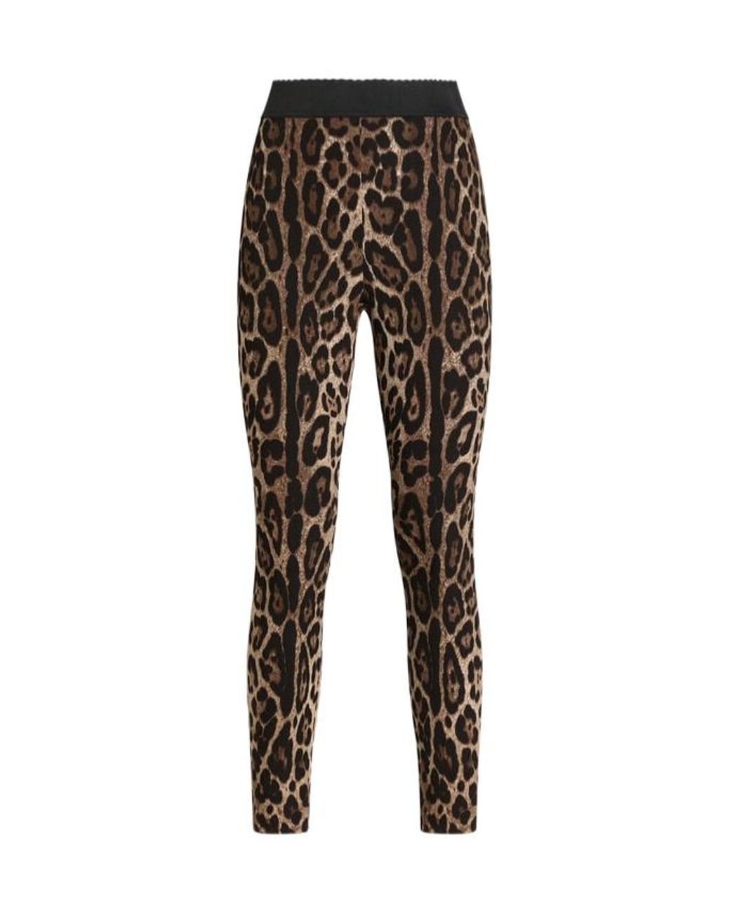 Dolce & Gabbana Black Leopard Printed Leggings