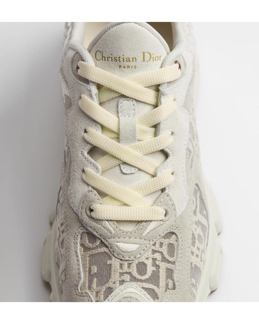 Dior Gray Vibe Sneakers