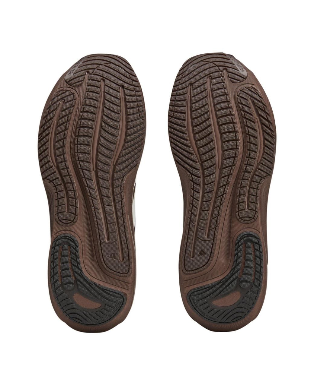 Adidas Originals Brown Lightweight Breathable Running Shoes for men
